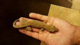 20160330_232634.jpg