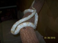 100_2077.jpg