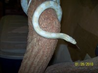 100_2078.jpg