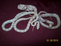 100_2082.jpg