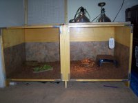 wallys cage.jpg