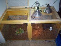 wallys cage2.jpg