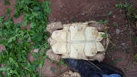 20160704_162851.jpg