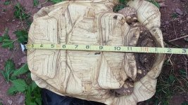 20160704_164727.jpg