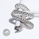 axanthic zebra jag female.jpg