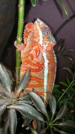 IMG_20160119_091904495.jpg