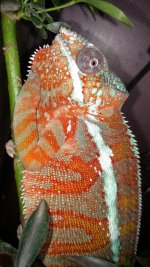 IMG_20160119_092028974.jpg