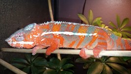 IMG_20160119_092149949.jpg