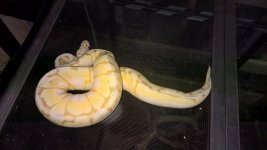 WP_20160704_17_12_11_Pro.jpg
