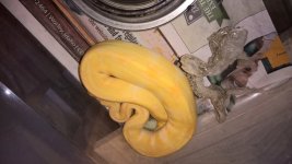 WP_20160623_18_56_30_Pro.jpg