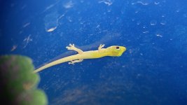 20160427_182758.jpg