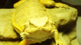 DSC00390.jpg
