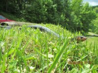 IMG_0441.jpg