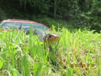 IMG_0442.jpg