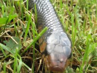 IMG_0443.jpg