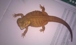 20151226_123548.jpg