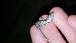 20160521_204646.jpg