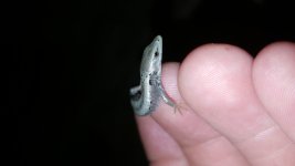 20160521_204623.jpg
