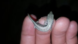 20160521_204615.jpg