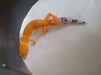 20160130_123141.jpg