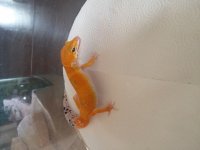 20160130_120320.jpg