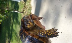 20160511_095920.jpg