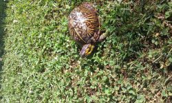 20160511_100010.jpg