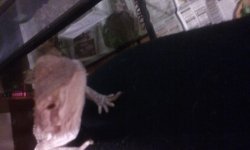 20160414_194640.jpg