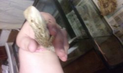 20160414_194606.jpg