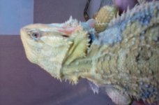 20160505_190221.jpg