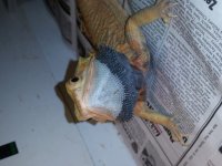 20160703_093938.jpg