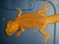 20160701_062252.jpg