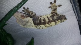20160316_141947.jpg