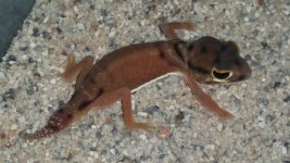 20160407_190924.jpg