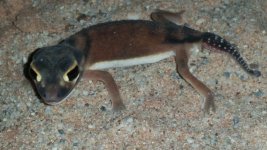 20160407_190956.jpg