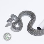 axanthic granite female.jpg
