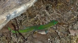 20160130_171147.jpg