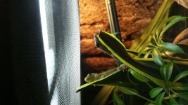 20160123_223524.jpg