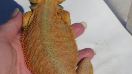DSC00512.jpg