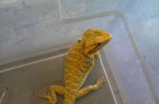 20160424_160606.jpg