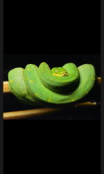 Screenshot_2015-12-26-12-18-56.png