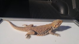 20160208_094527.jpg