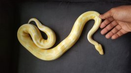 20160415_104114.jpg