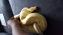 20160415_102123.jpg