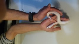 20160202_093022.jpg