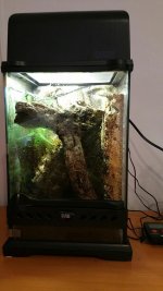 20160202_211035.jpg