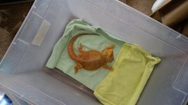 20160415_155719.jpg