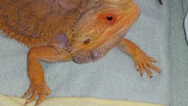 20160415_155733.jpg