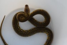DSC_1179.jpg