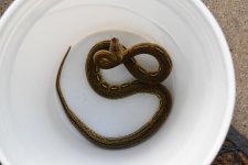 DSC_1177.jpg